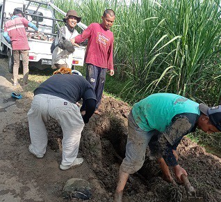 Perbaikan Mojogedang